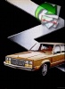 Mercury 1977 243.jpg